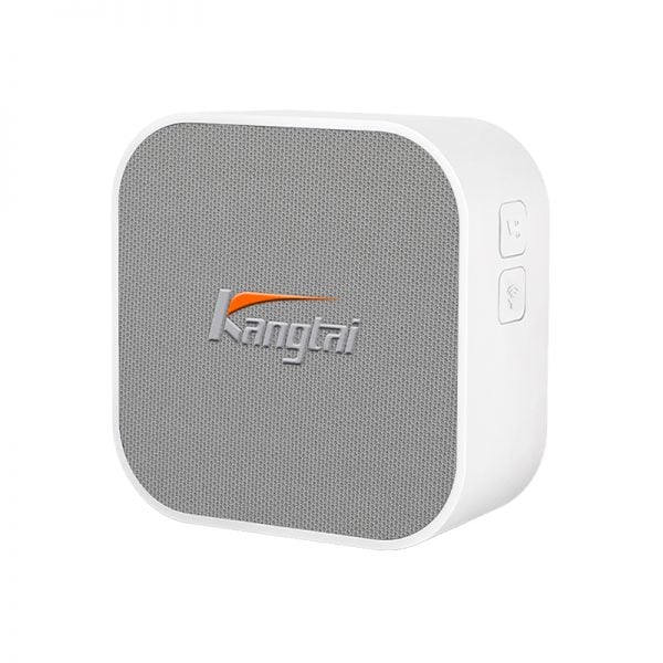 DC  AC Wireless Doorbell-98410