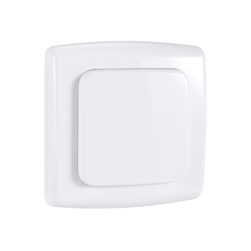 Wall Switch (Sender)-50056